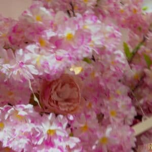 Brasileirinhas Nude  Leaks 2 Photos