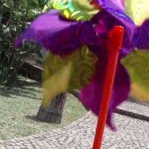 Brasileirinhas Nude  Leaks 3 Photos