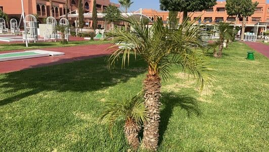 Click to view full size coco-lls Nude Leaks 9 Photos