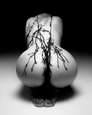 Eliza Goldsmith Nude  Leaks 3 Photos