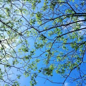 miss-katherine Nude  Leaks 56 Photos