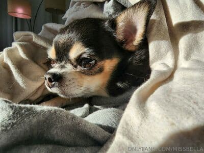 MissBella Nude OnlyFans/Patreon Leaks 3 Photos