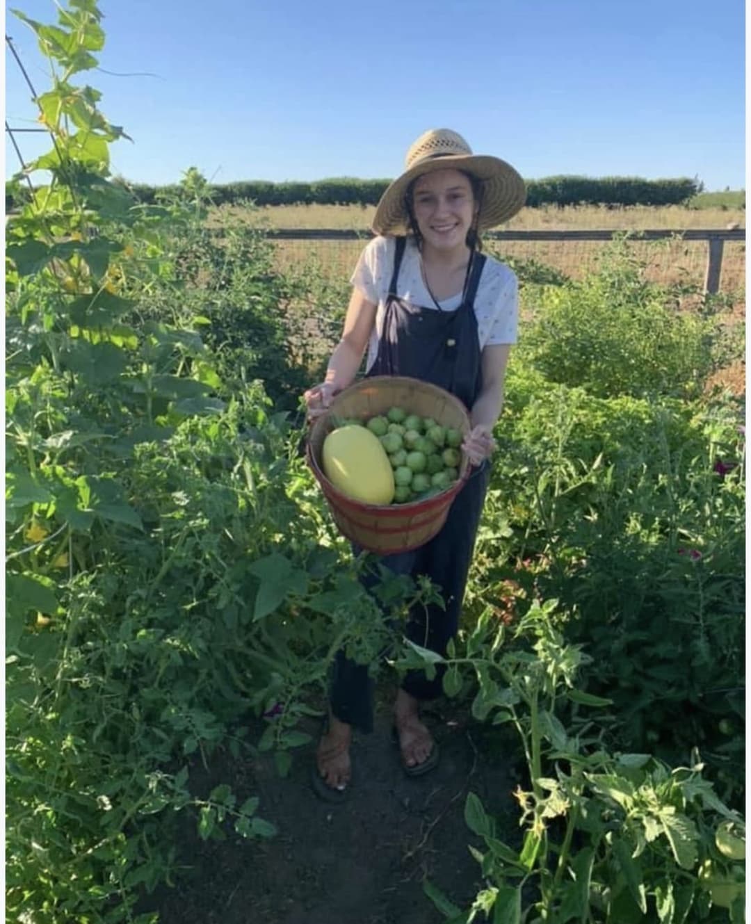 stepsis pics/panties/tribs