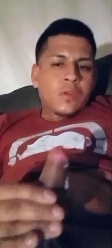 Lariat lira san Antonio tx