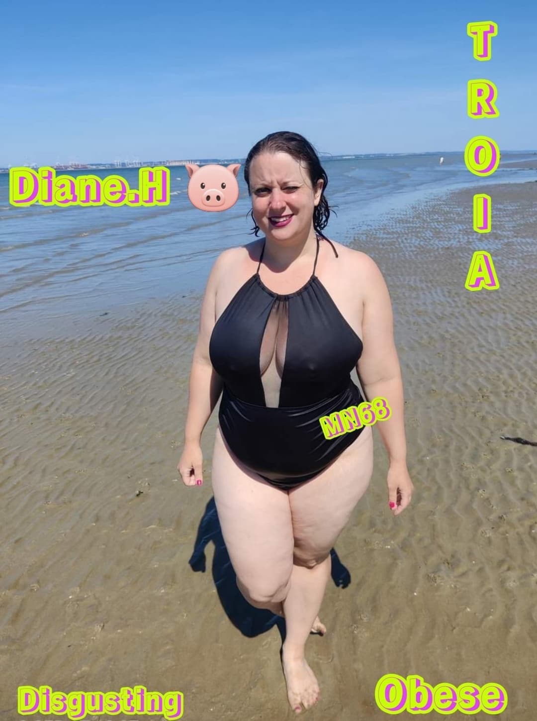 Diane Henrotte *MegaMIX*-#004