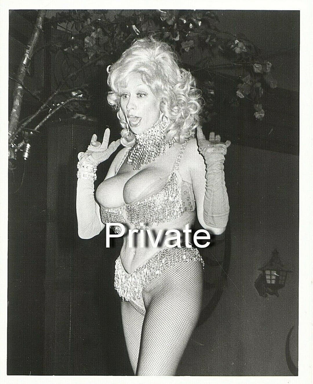 The Legendary Chesty Morgan