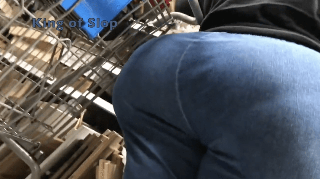 Dry Hump My Big Sloppy SSBBW Ass In Public