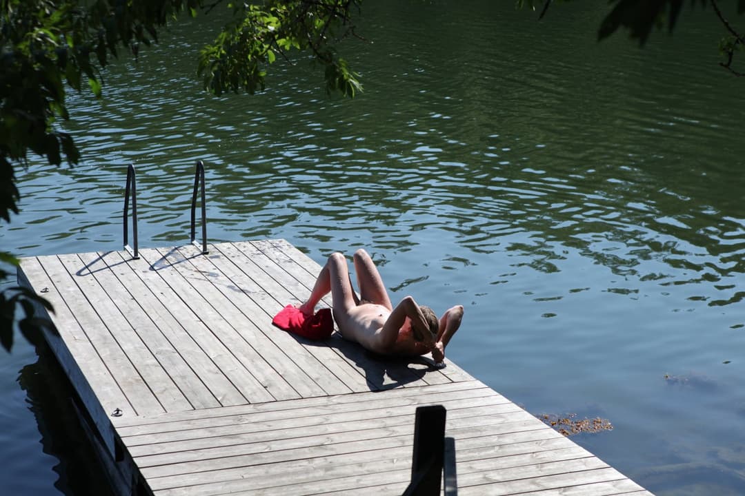 Lotta Swedish milf, real and not so real