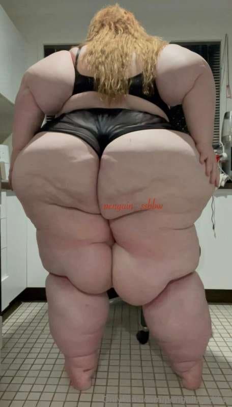 ssbbw penguin