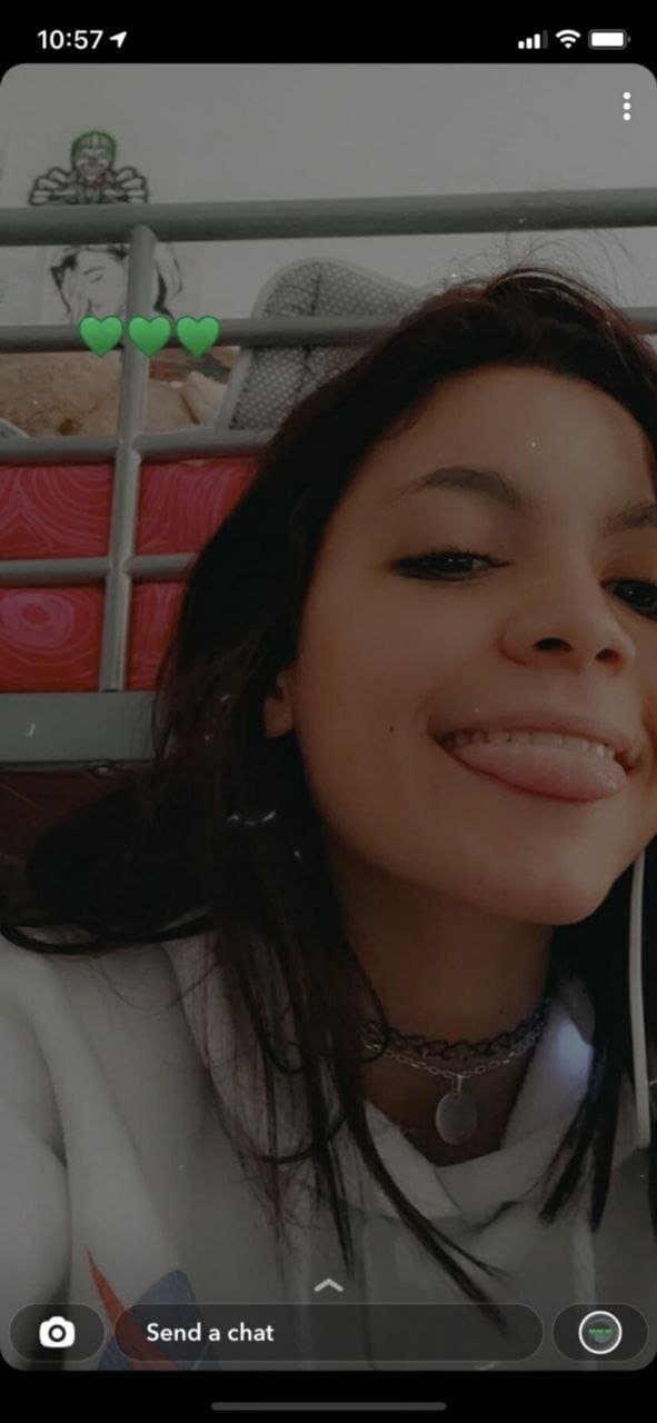 Click to view full size Salope de Lyon