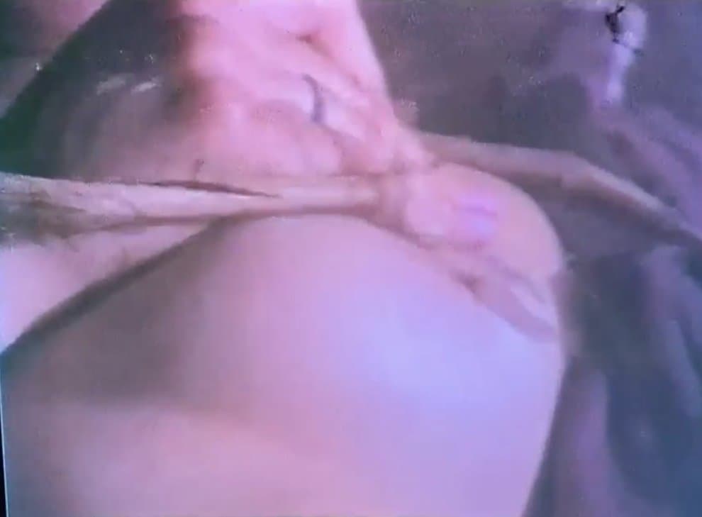 The Trees! They’re Alive!!! (Part 3)