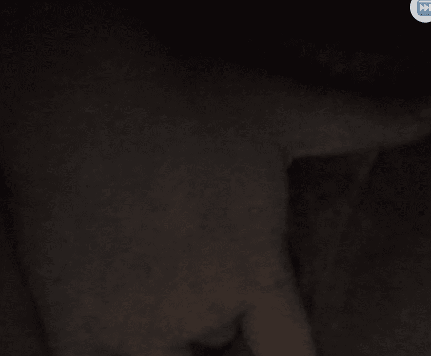 some random girl on monkey showing her tits and cat