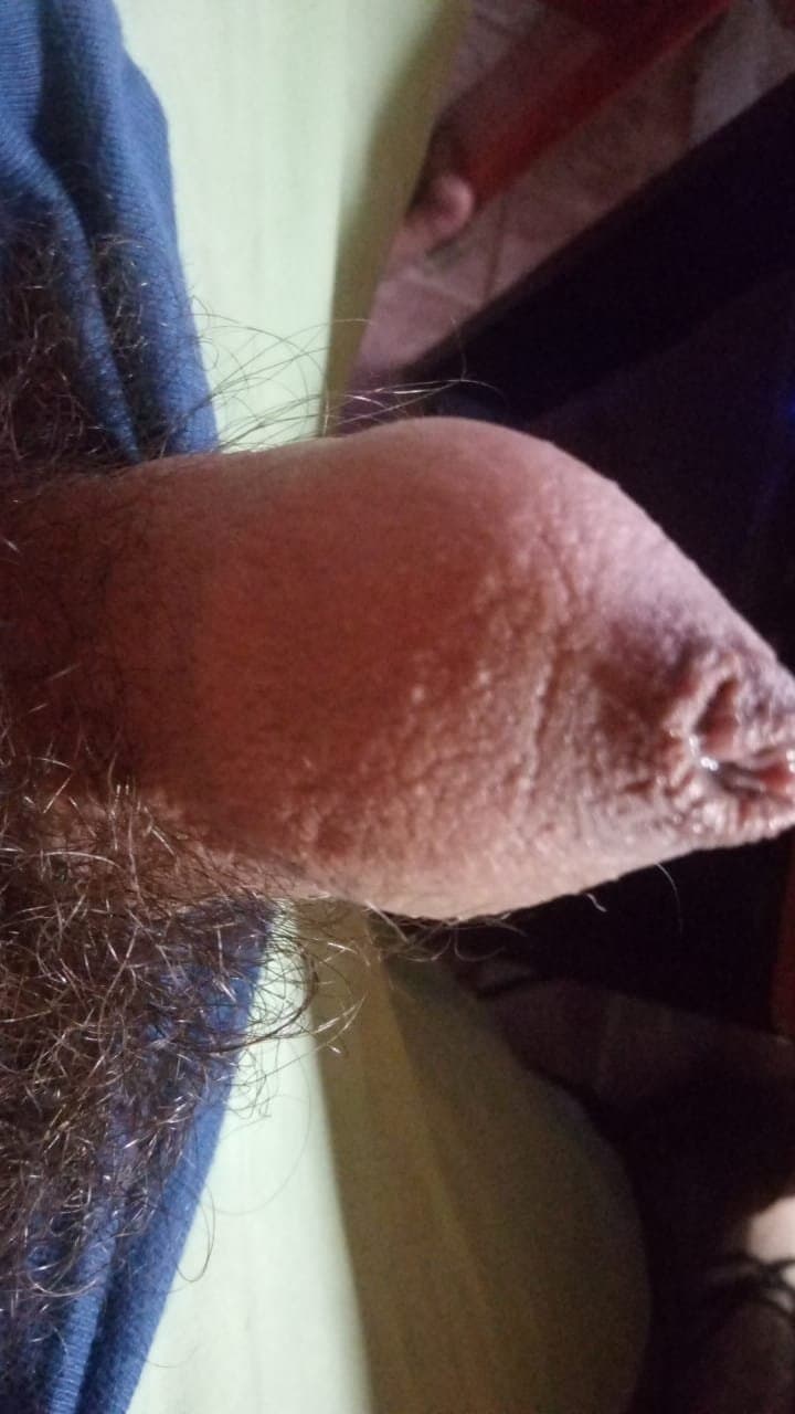 caliente, wilde, buenos aires, si me ofresco si alguna quiere hableme