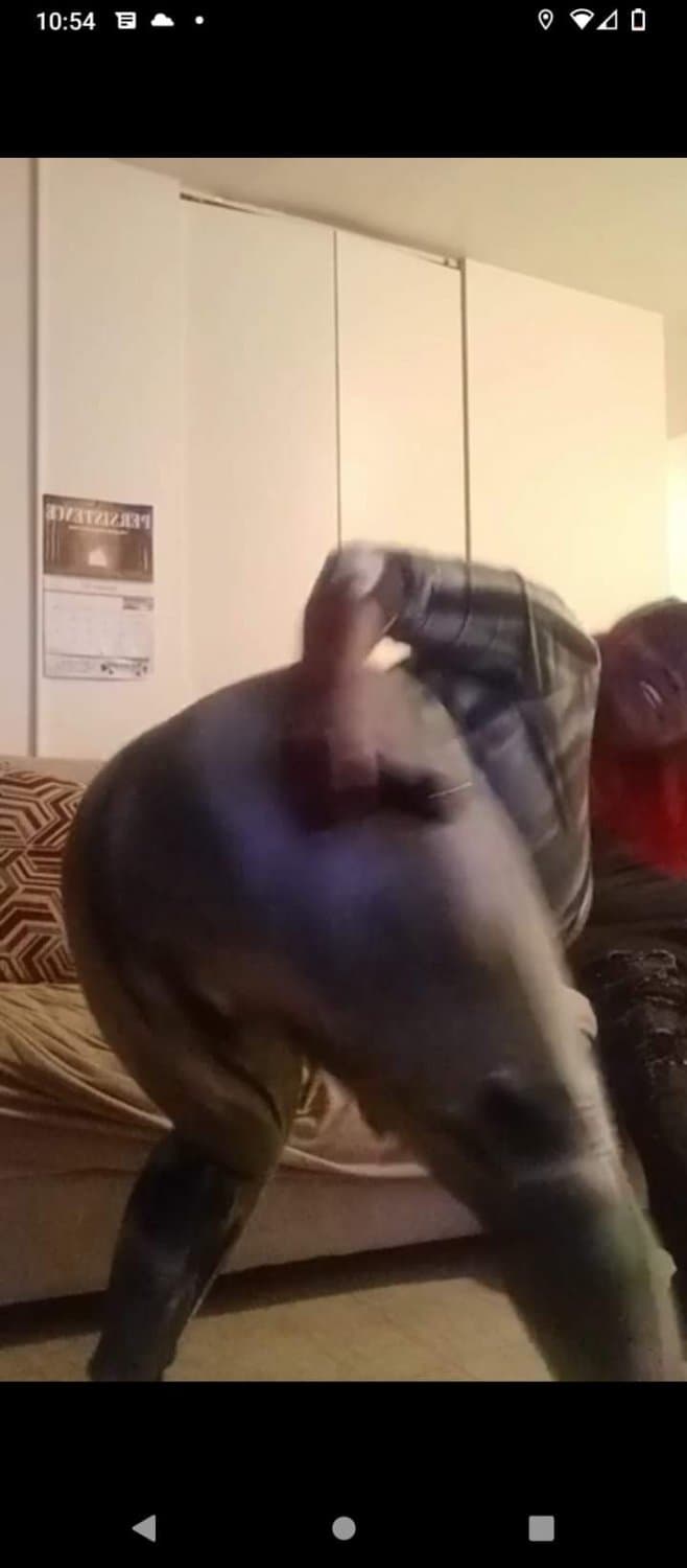 Freaky Bi Bbw Auntie (She need to start a only fans) I would not pull out 19