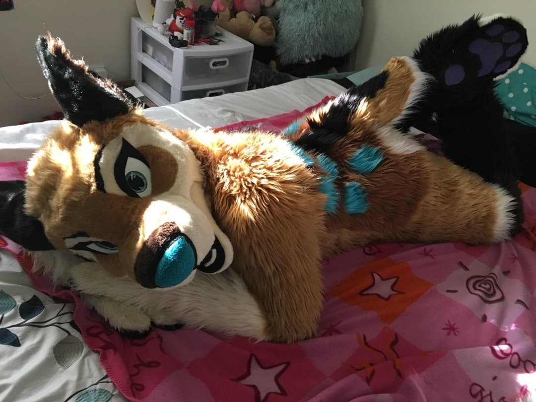 [FURRY] ?? infamous shiba/deer murrsuiter sex tapes (fřëÿäśħîbê)