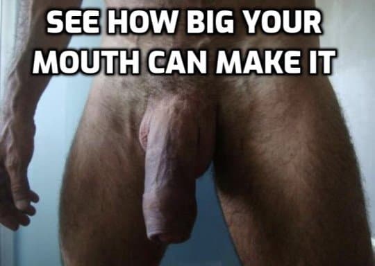 Sissy and Femdom Captions