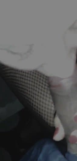 Amateur wife pussy sucking my cock after party hot amateur wife