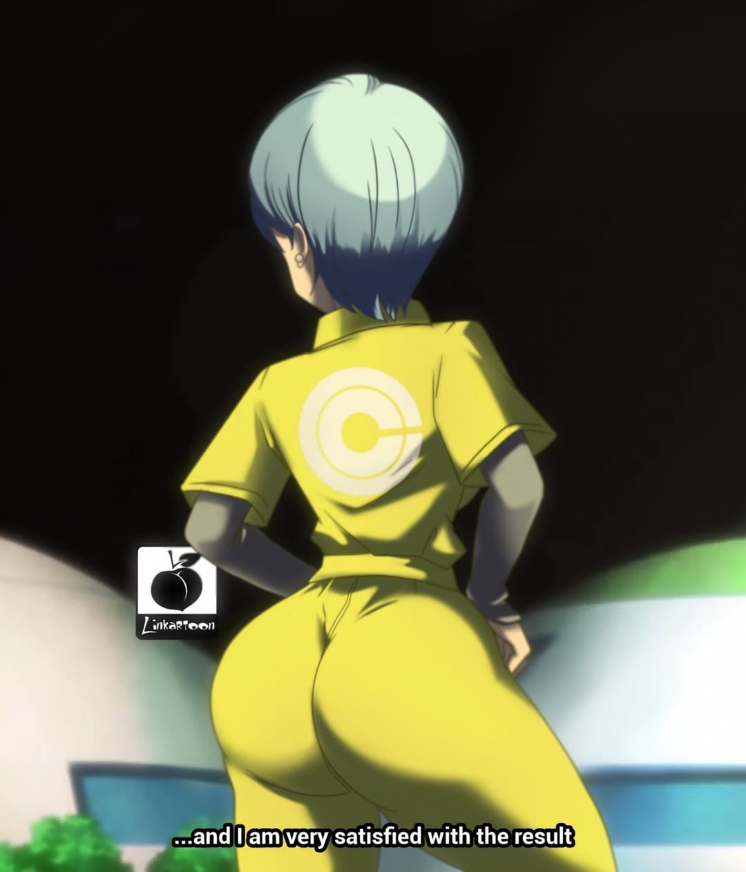 Bulma briefs Compllation