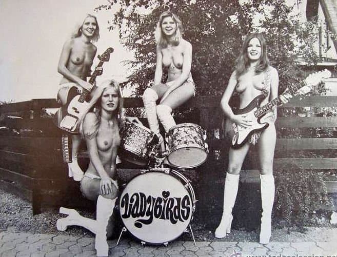 THE LADYBIRDS [Retro Band]