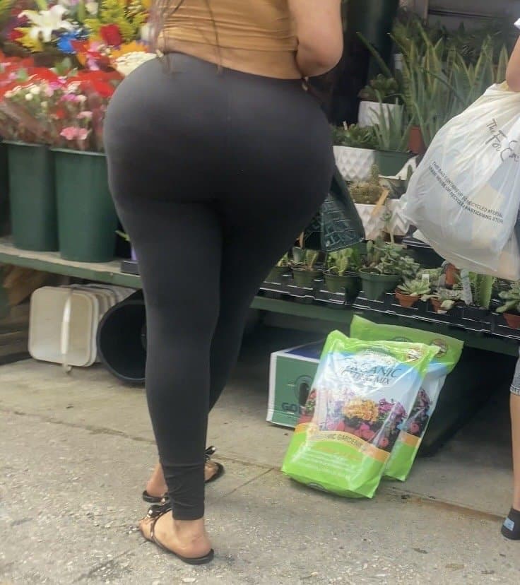Typical Ny Big Booty Dominican