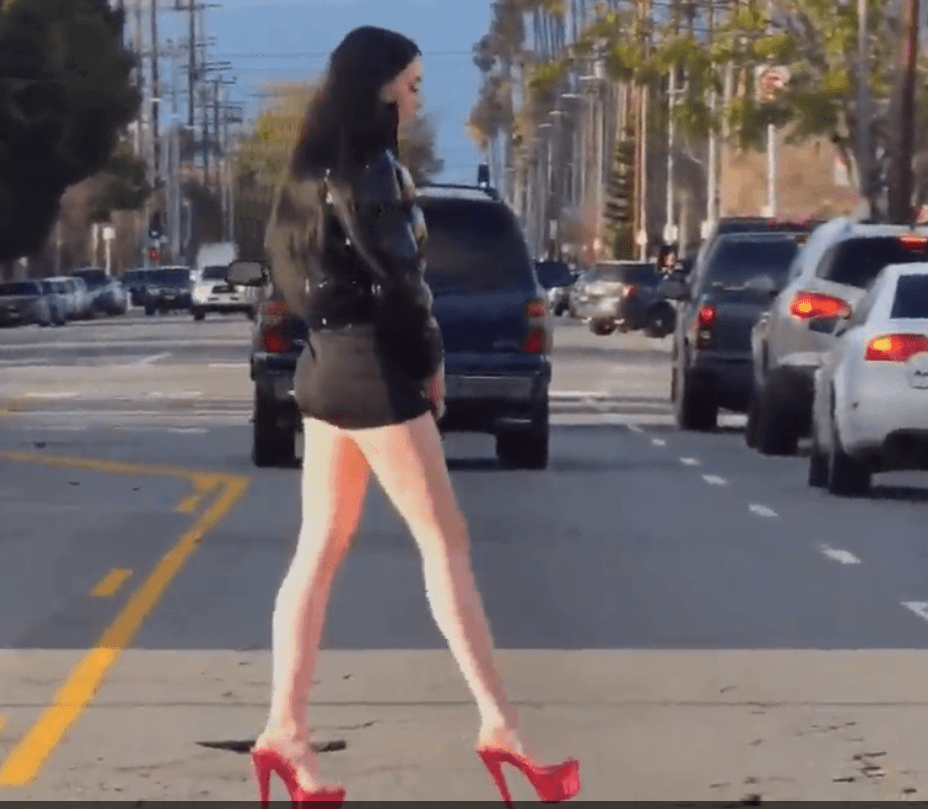 Figueroa Street Hooker #463