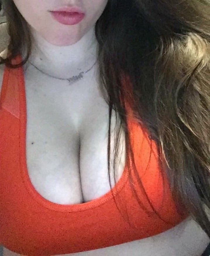 reverse search and show me results