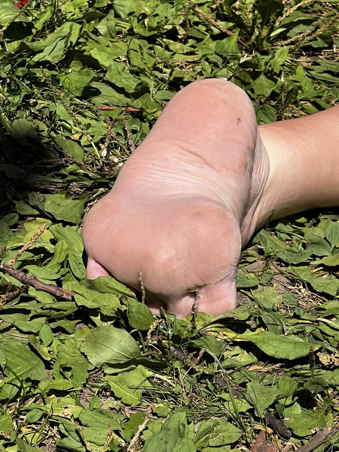 Click to view full size Step-moms archy feet