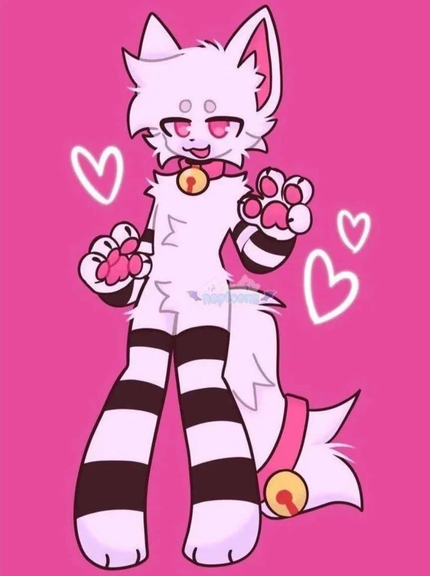 FURRY PAWS FURRY PAWS FURRY PAWS