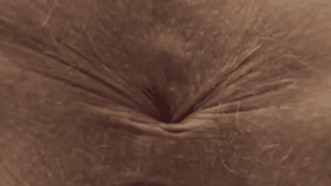 PHAT ass on this ginger MILF whore ?