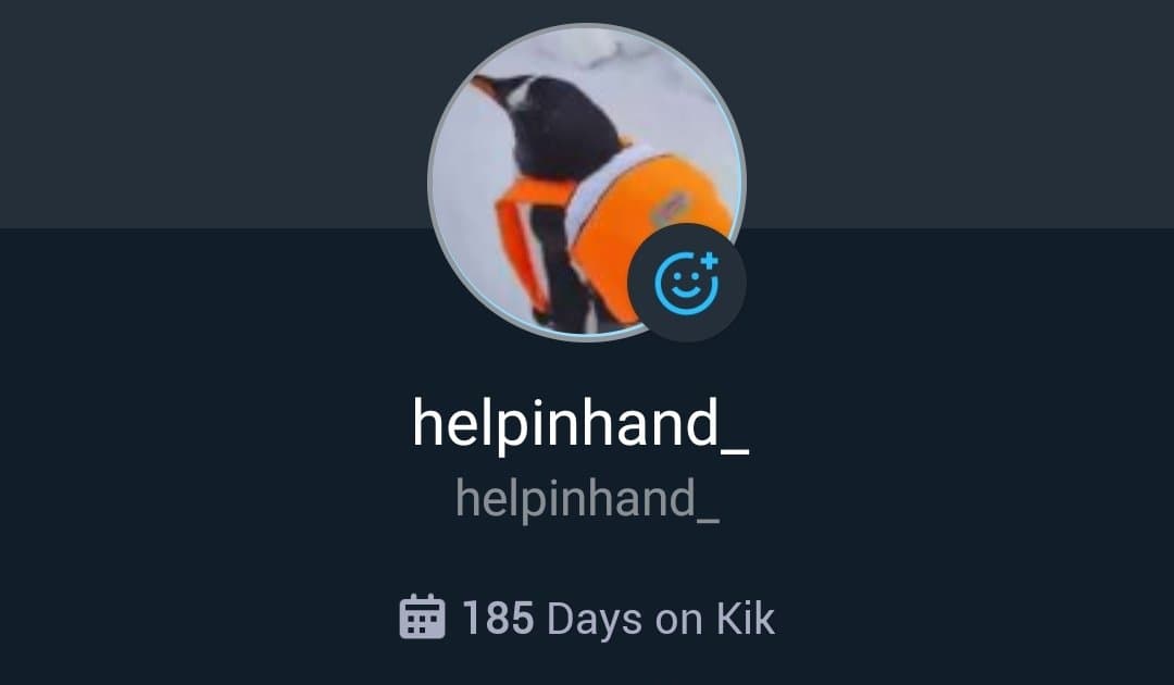 Looking for sluts to worship my cock. Message my kik