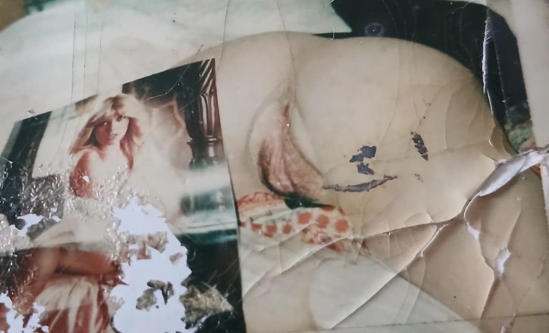 cunts/CUNTS/WHORE CUNTS/FUCKIN WHORE CUNTS !