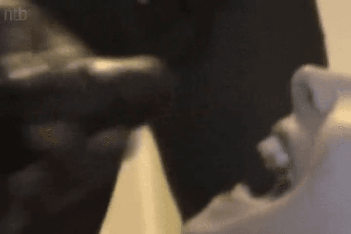 Click to view full size Blonde girl demolished in BBC gangbang