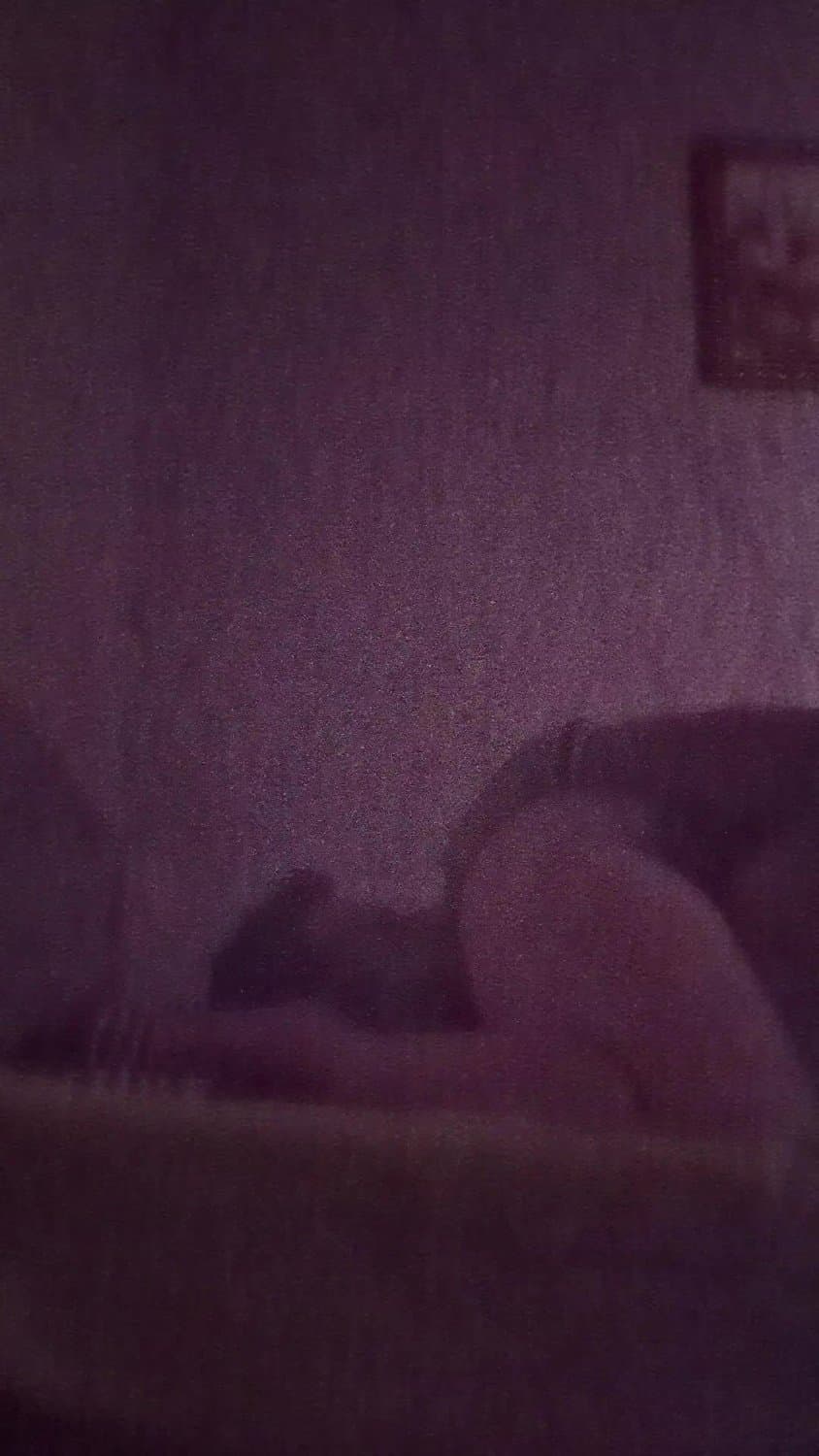 Asian Massage Parlor 69 with petite asian