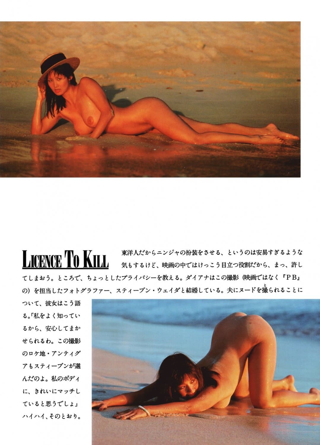 Diana Lee, Diana Hsu aka Diana Le nude sexy leaked 001