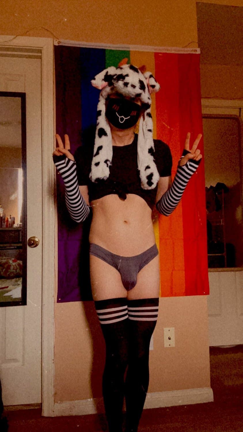 Femboy Bingy (trap,twink,cute)