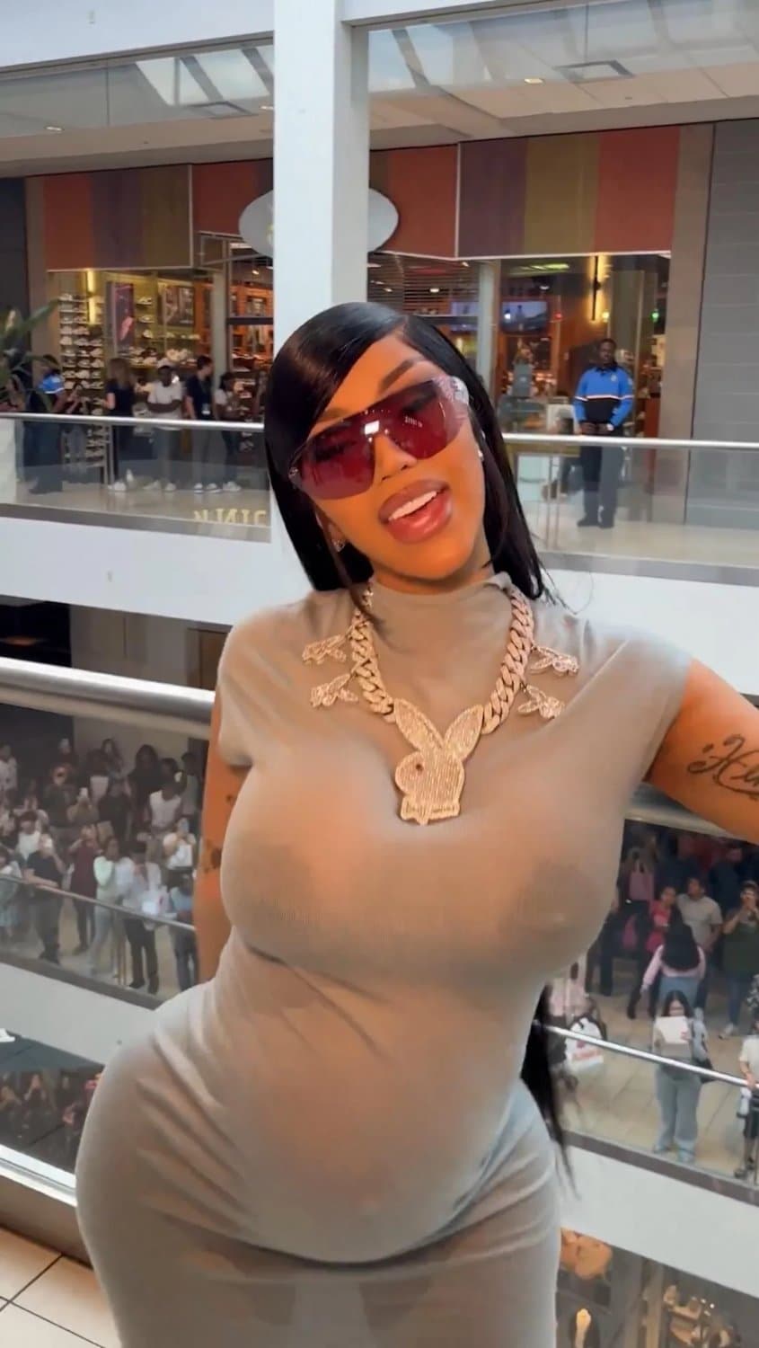 Pregnant Cardi B is a delight ?