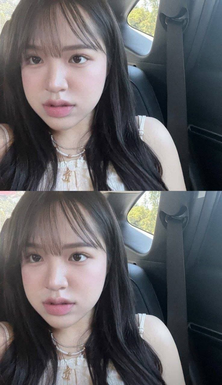 Ann Lee (Soo Kyung Lee sister)