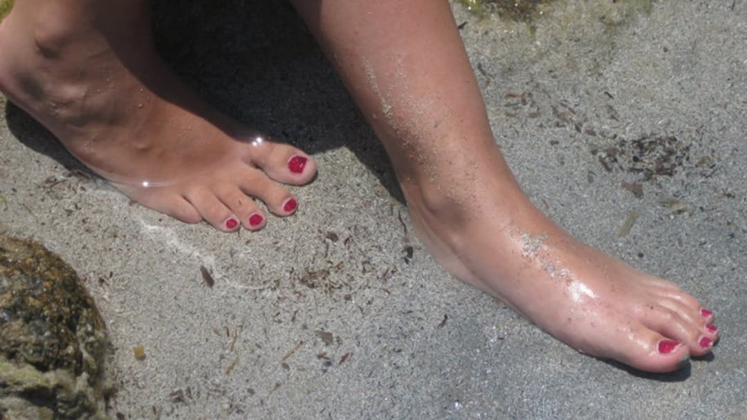 clitodunord grosse chatte