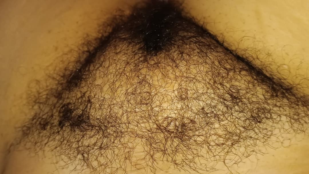 Hairy bush my wife