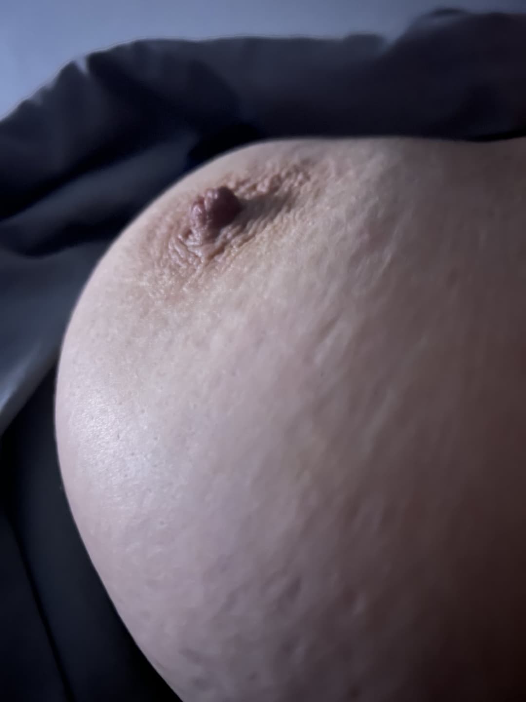 Perfect Natural Tits Boobs