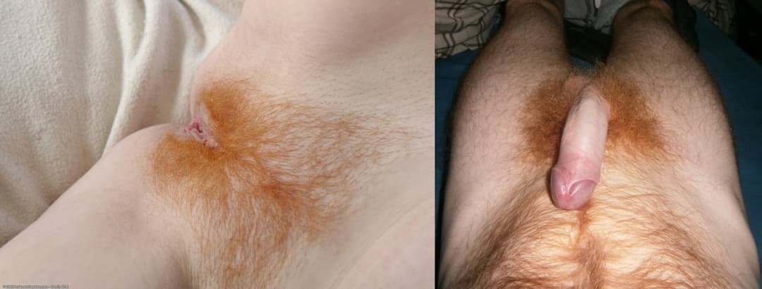 A ginger pussy for a ginger cock, a match made in heaven