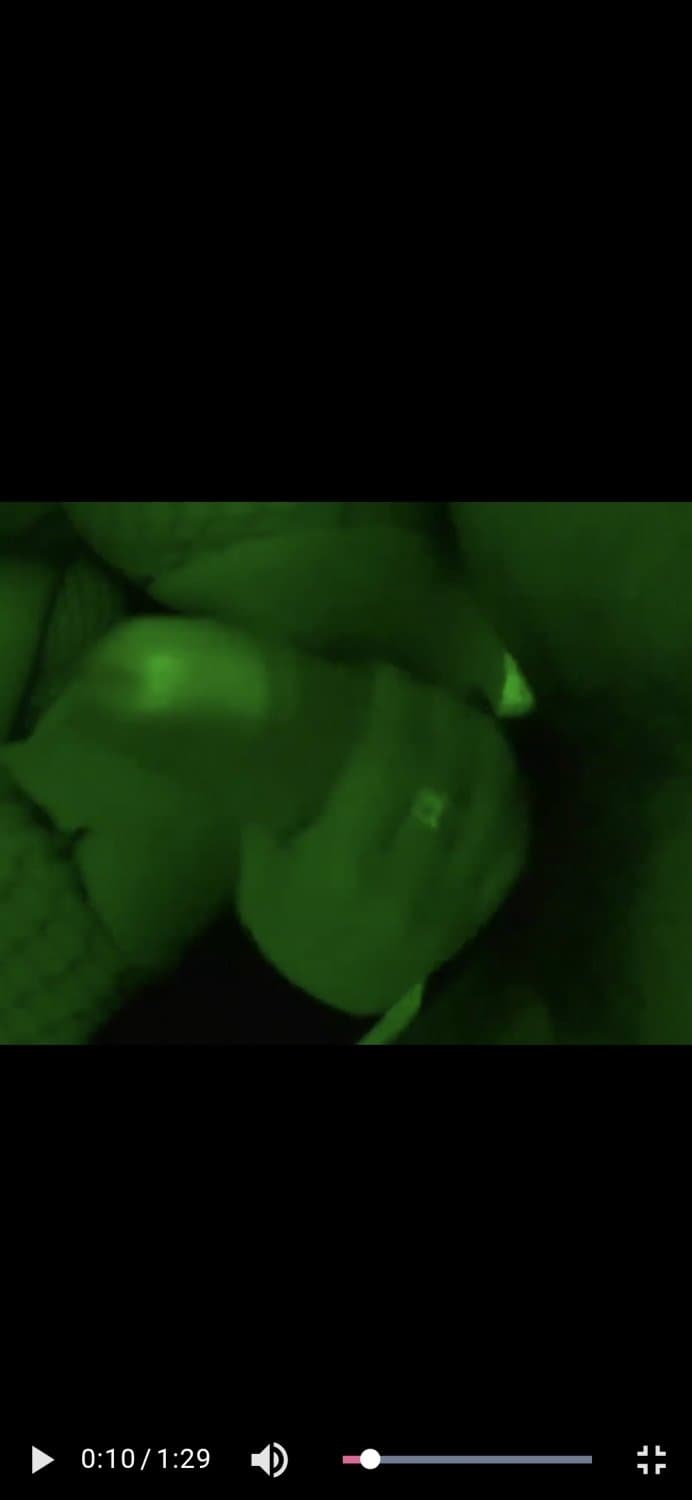 Sweet pussy fuck and cum on her feet.