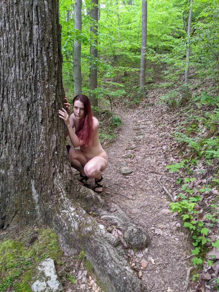 Click to view full size Hiking in the Mountains