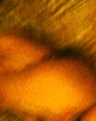 Click to view full size After club home party night-032358