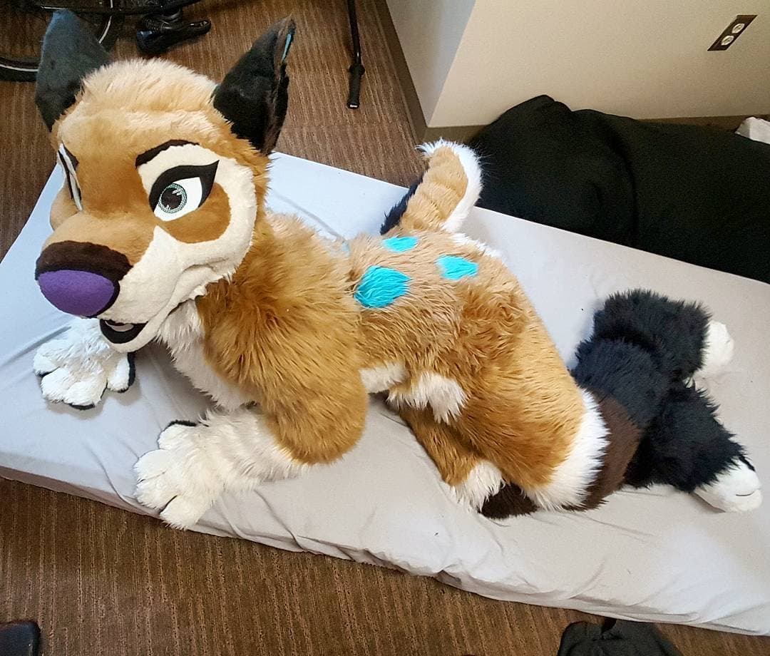 [FURRY] ?? infamous shiba/deer murrsuiter sex tapes (fřëÿäśħîbê)