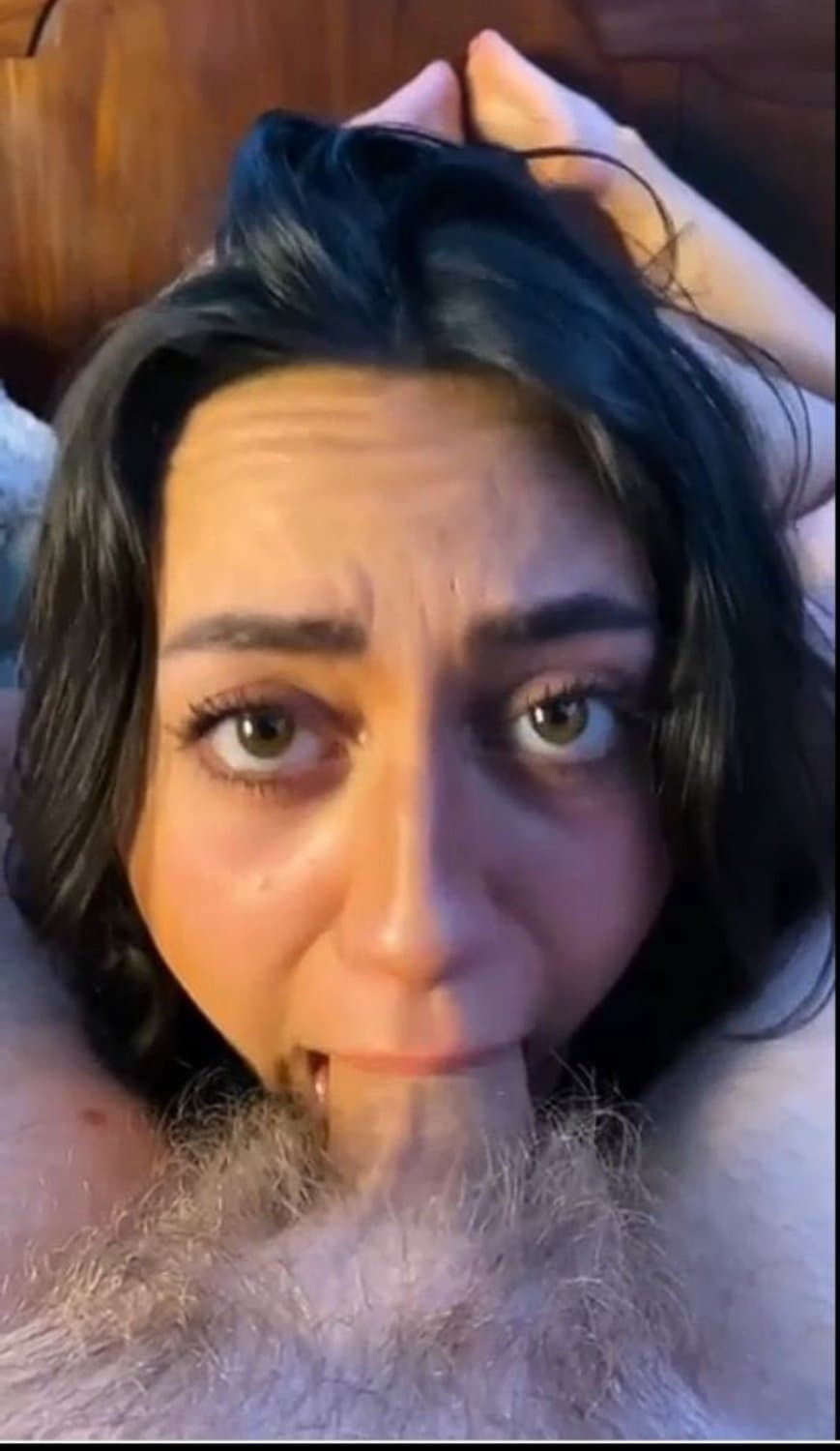 Recent porn saves - so many fat hoes