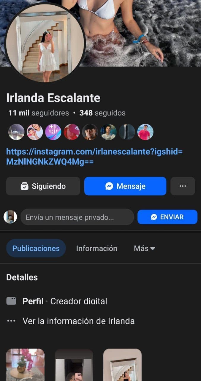 Click to view full size Irlandés Escalante Webcam Colombiana