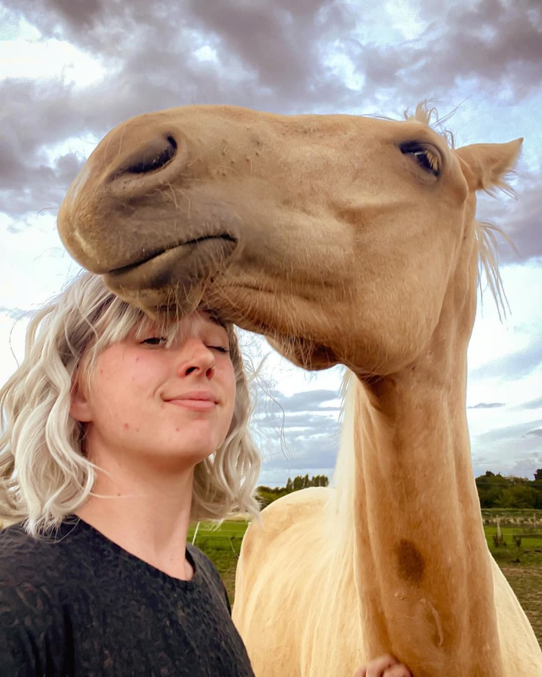 Emy Brunet Hansson: Veterinarian Butthole