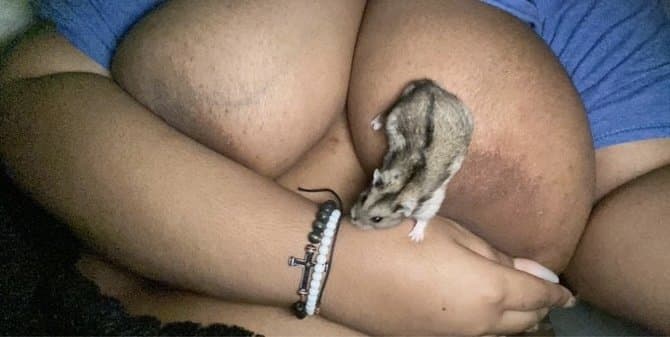 snapchat leak - fat black bbw / ssbbw slut loves showing off