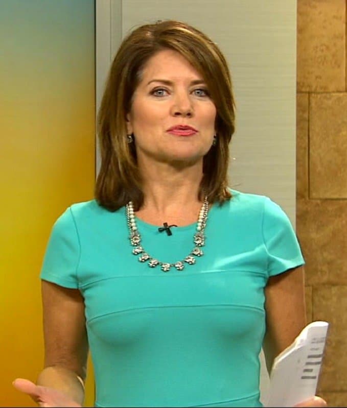 Alix Kendall TV News Milf